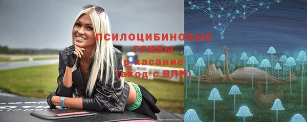 метамфетамин Алексин
