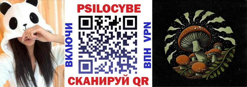 как найти закладки  Псков  Псилоцибиновые грибы GOLDEN TEACHER 