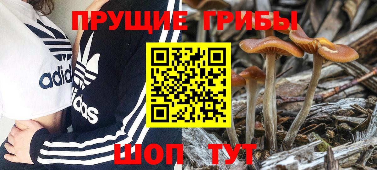 Галлюциногенные грибы MAGIC MUSHROOMS Псков