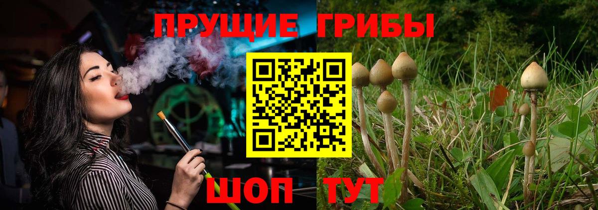 Псилоцибиновые грибы GOLDEN TEACHER  Вход с VPN  Псков 